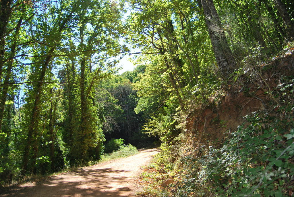 Casa Rural La Cuadraa Linares de Riofrio Номер фото