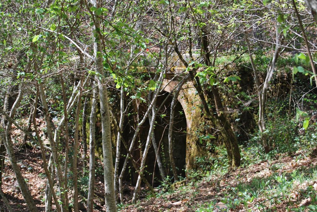 Casa Rural La Cuadraa Linares de Riofrio Екстер'єр фото